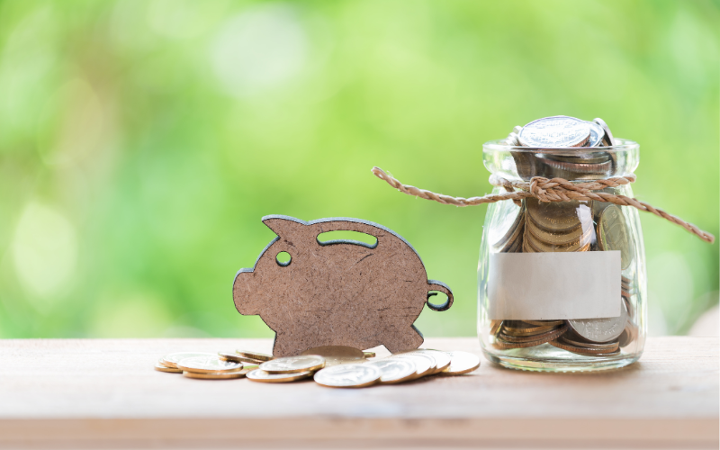 Invest 1 Lakh and Earn 50,000 Monthly: A Smart Investment Plan